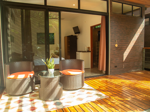 The White Palms of Nosara