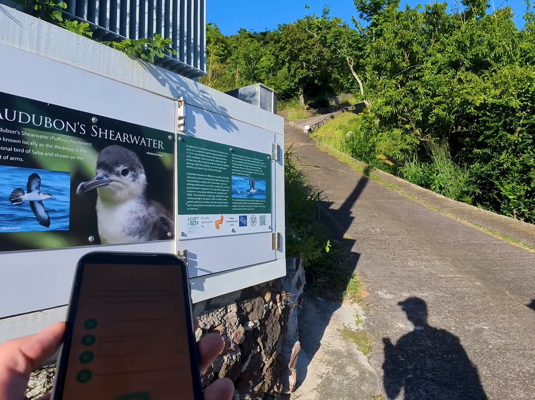 Box2box Scavenger Hunt-Windwardside必去景点