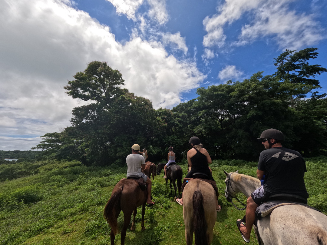 Santo Horse Adventures景点图片