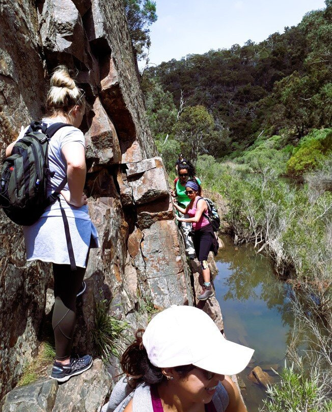 Hike Tribe-墨尔本必去景点