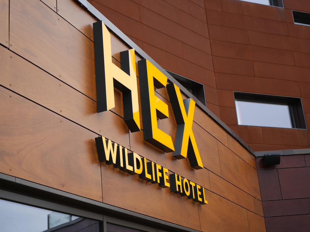 Hex Wildlife Hotel主图