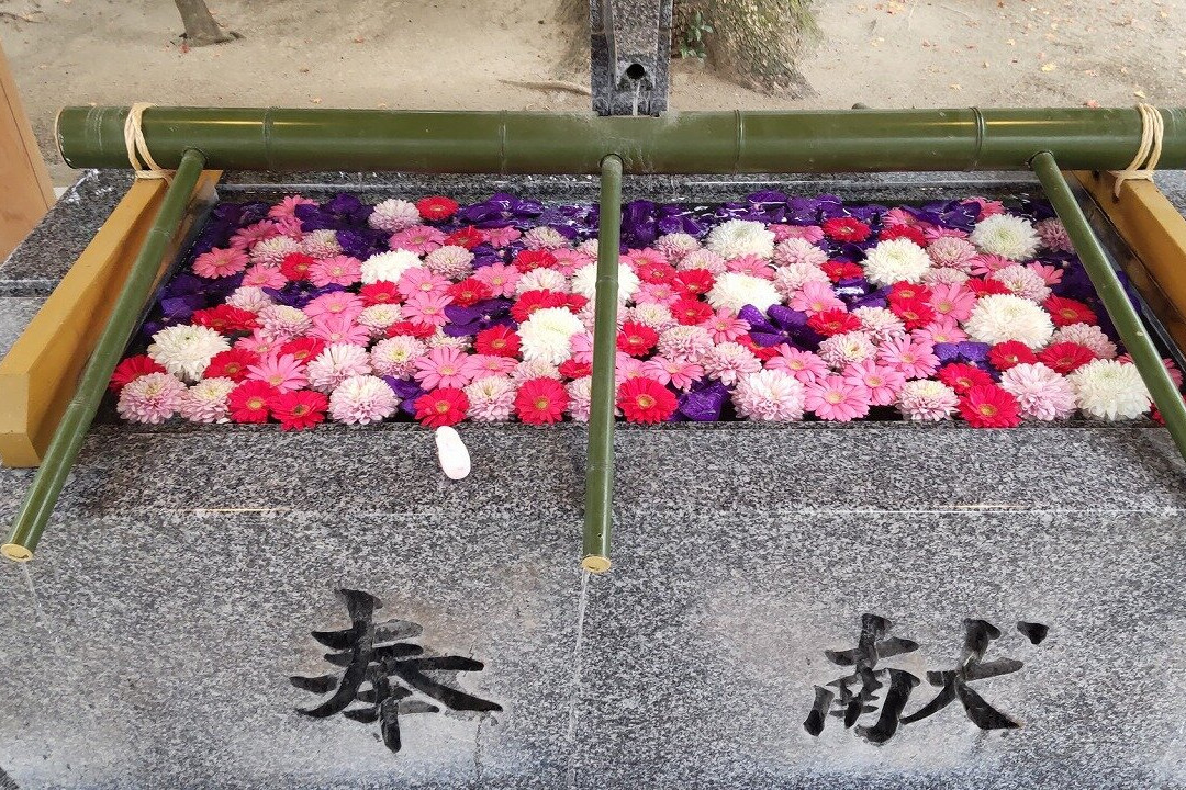 Arahito Shrine景点图片