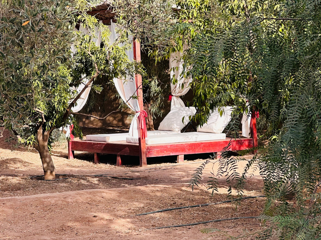 Riad Le Jardin des Orangers主图