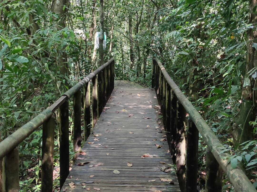 Parque Nacional Manuel Antonio景点图片