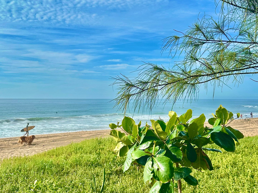 Pecado Beach景点图片