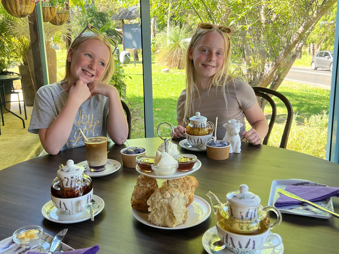Cape Lavender Tea House-雅林角必去景点