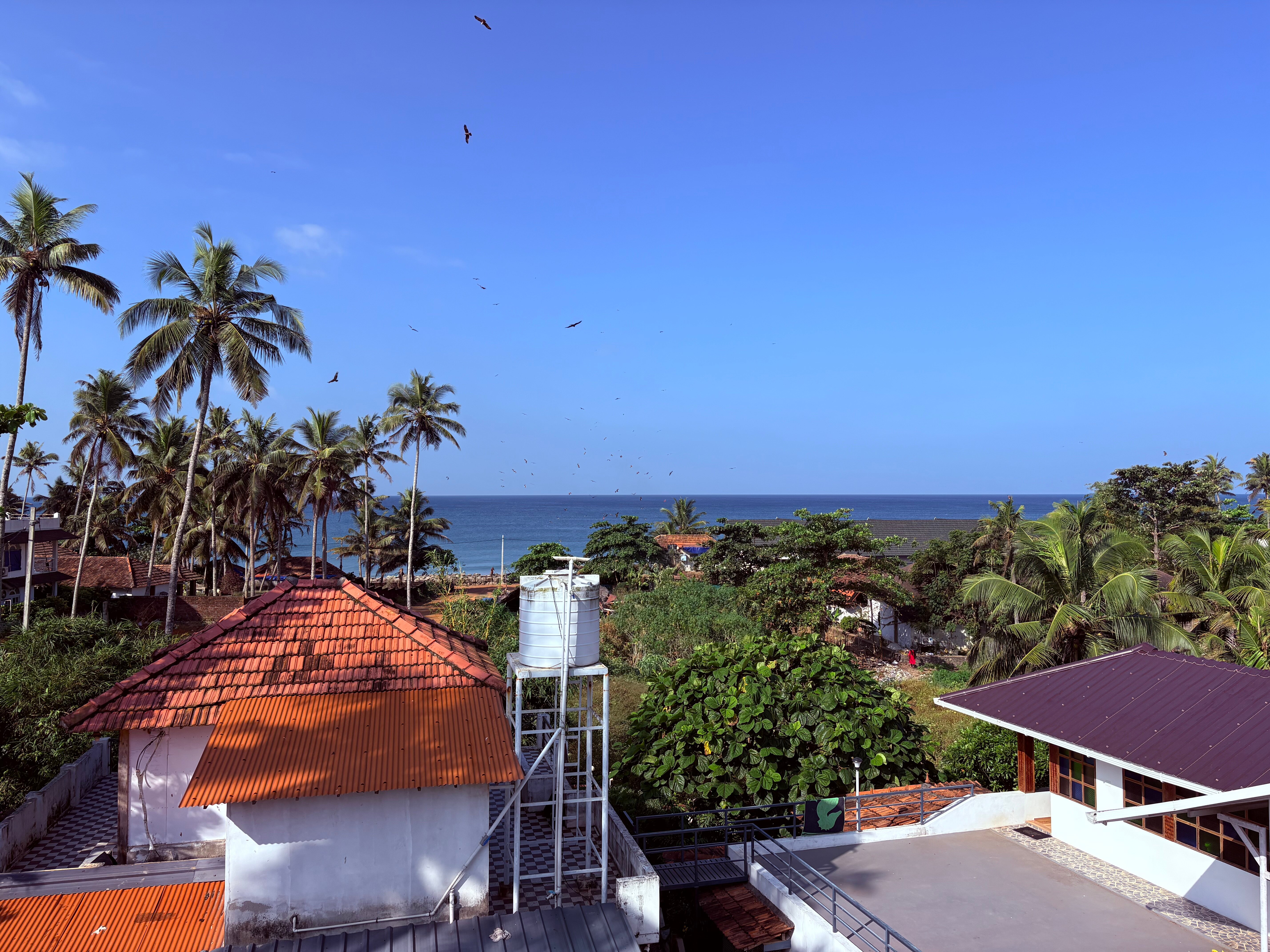 Magnolia Guesthouse Varkala-官方