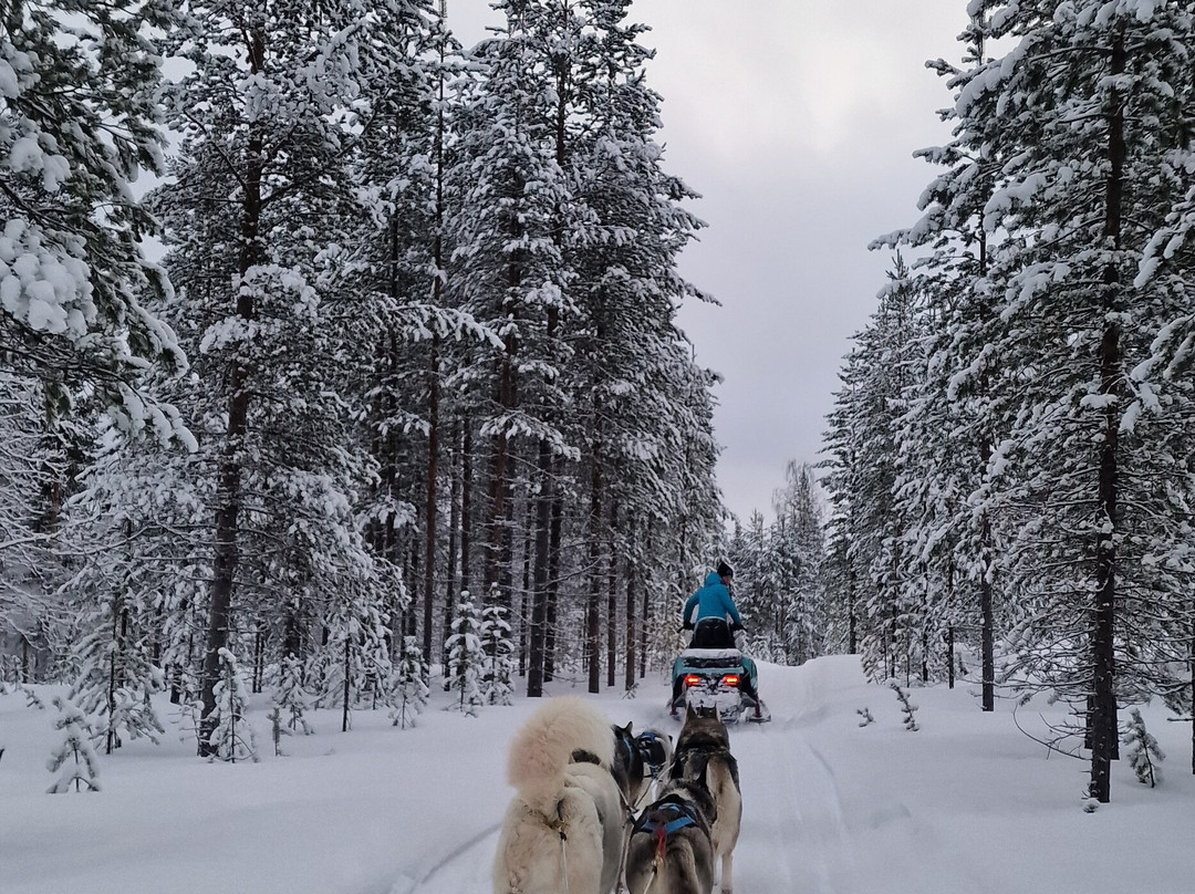Happy Huskies-伊瓦洛必去景点