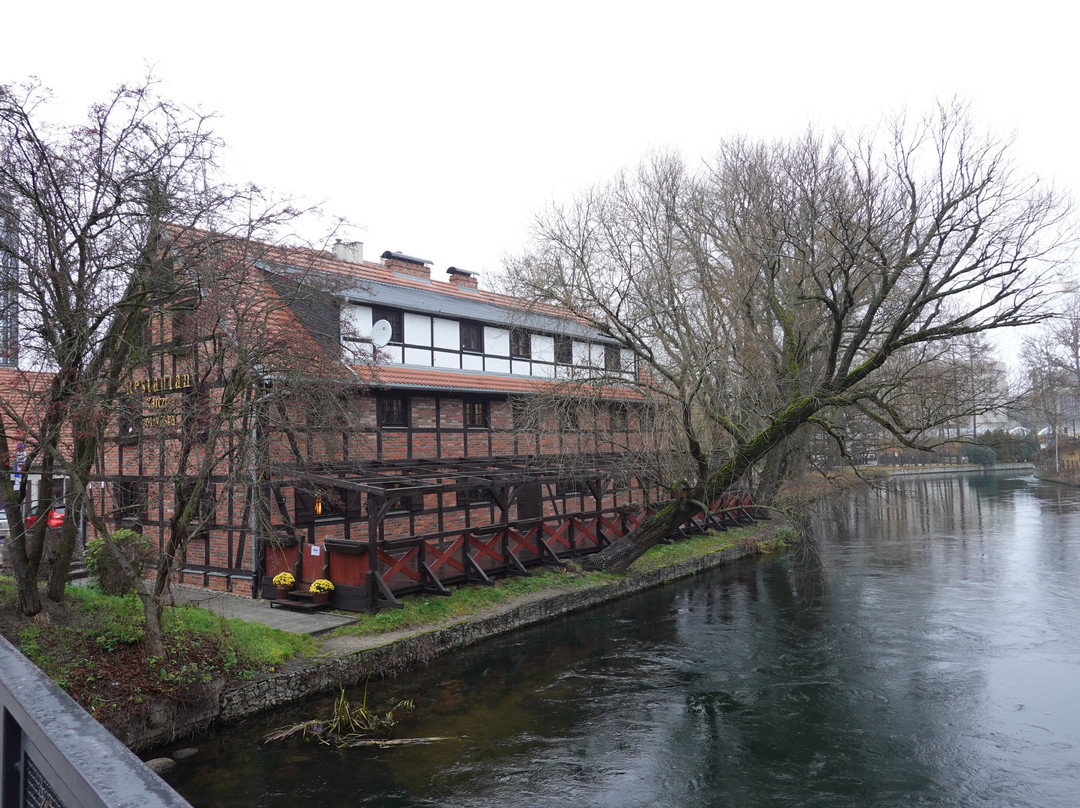 Mill's Island (Wyspa Mlynska)景点图片