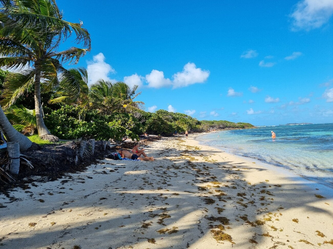 Anse Michel-Sainte-Anne必去景点