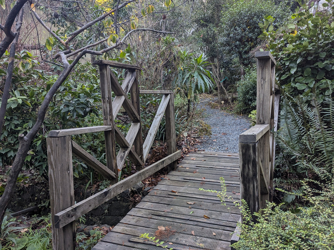 Western Hills Garden景点图片