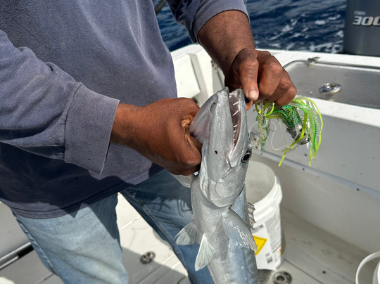 Captain William-弗里波特必去景点