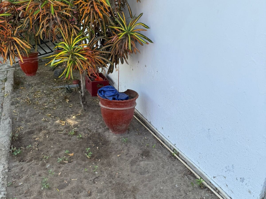 Sunset Bay Colan主图