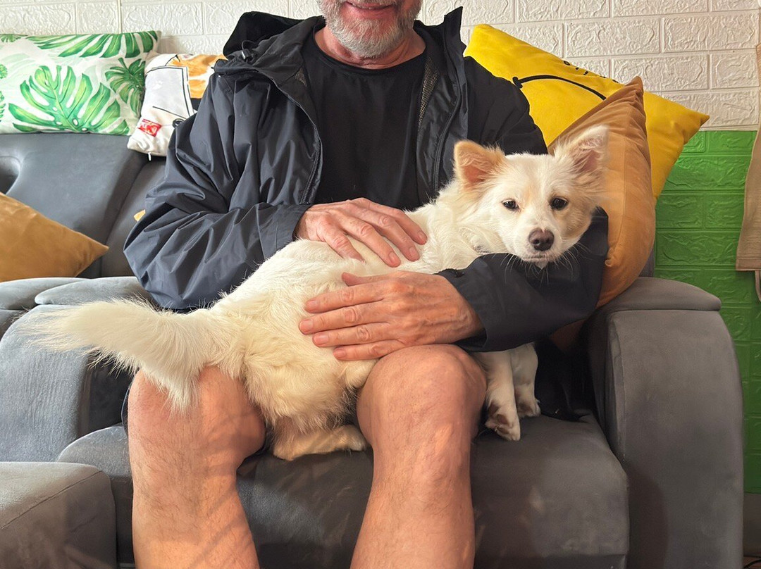 MiMi Spa-会安必去景点