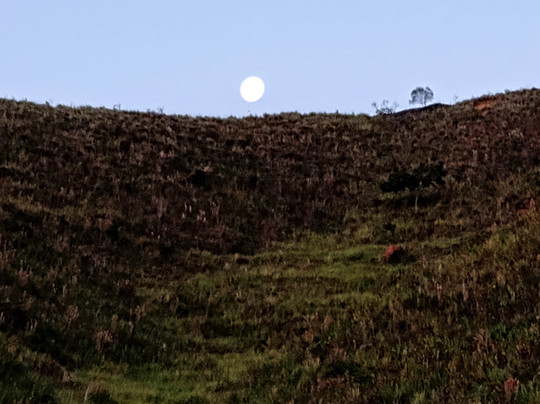 Rio Tour Leader - Marcelo Fontes-里约热内卢必去景点