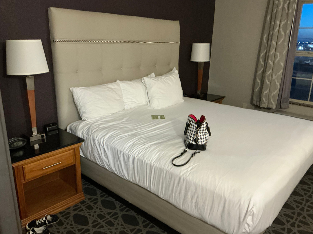 Drury Inn & Suites Albuquerque North主图