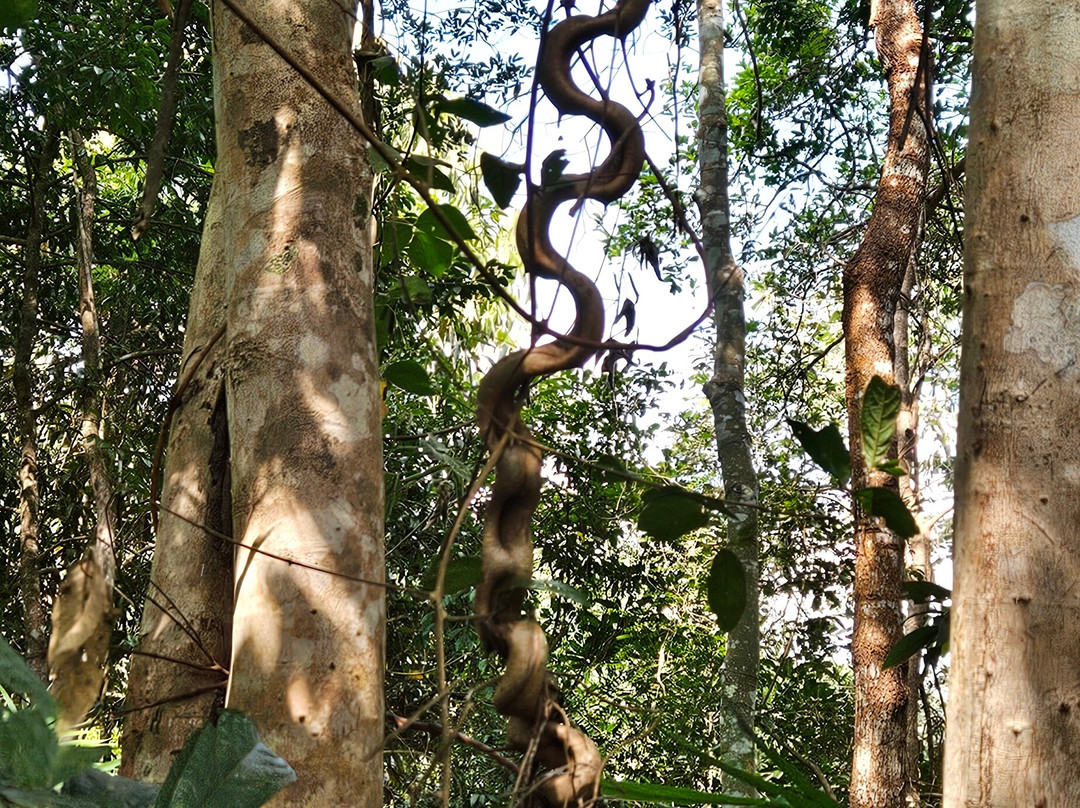Phou Iu Travel & Ecotourism-琅南塔必去景点