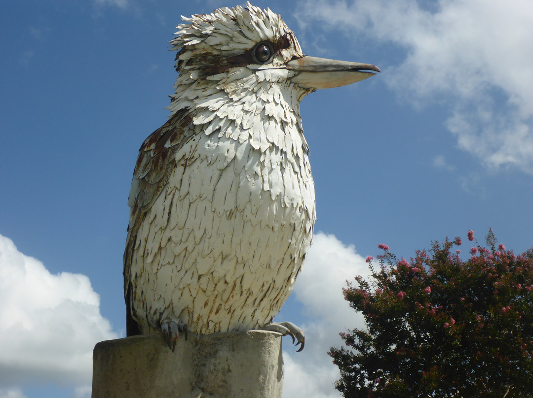 Big Kookaburra景点图片