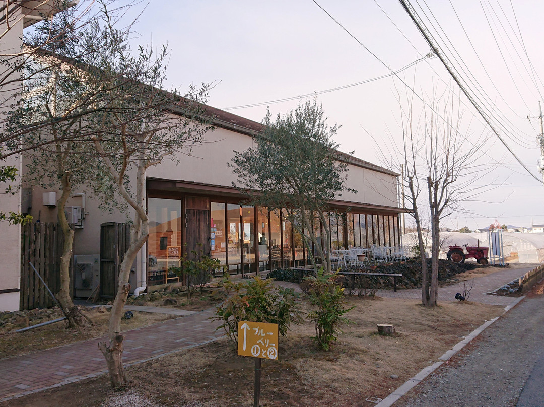 Ichigo No Sato-小山市必去景点
