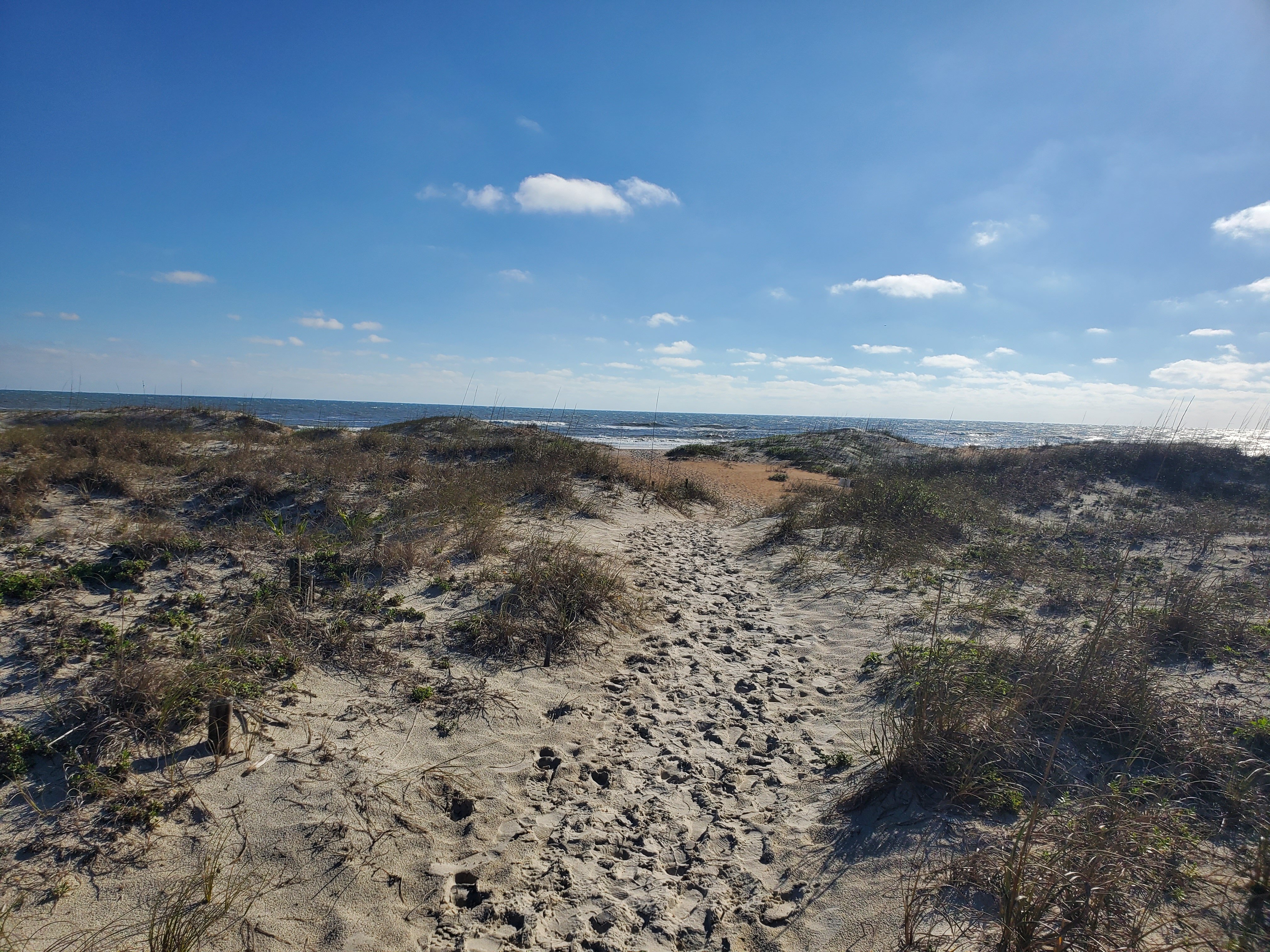 La Fiesta Ocean Inn & Suites-浴室