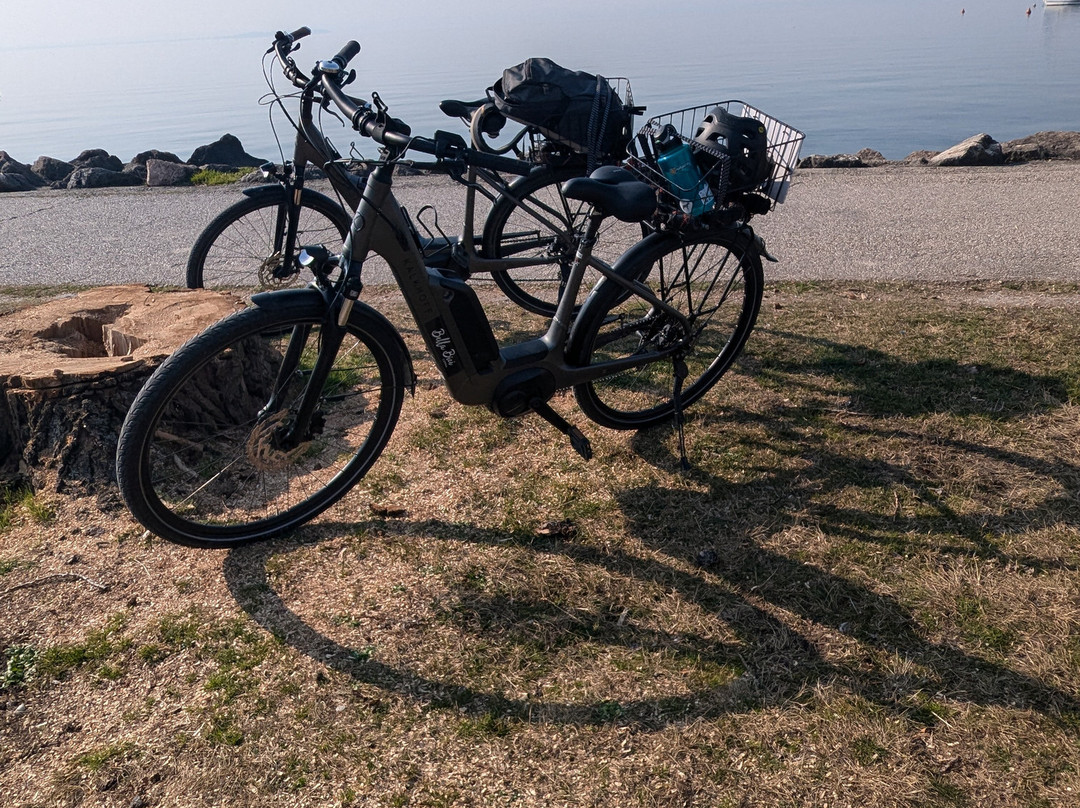 Bella Bici - Bike & Vespa Rental景点图片