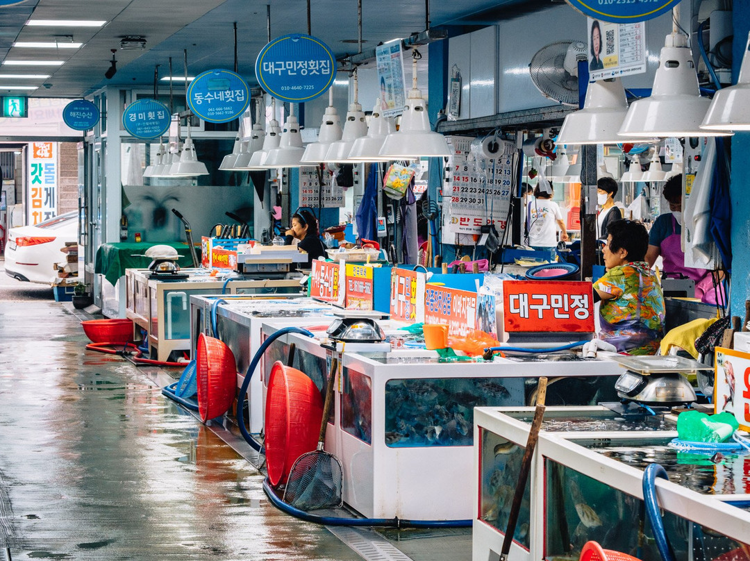 Yeosu Fish Market-丽水市必去景点