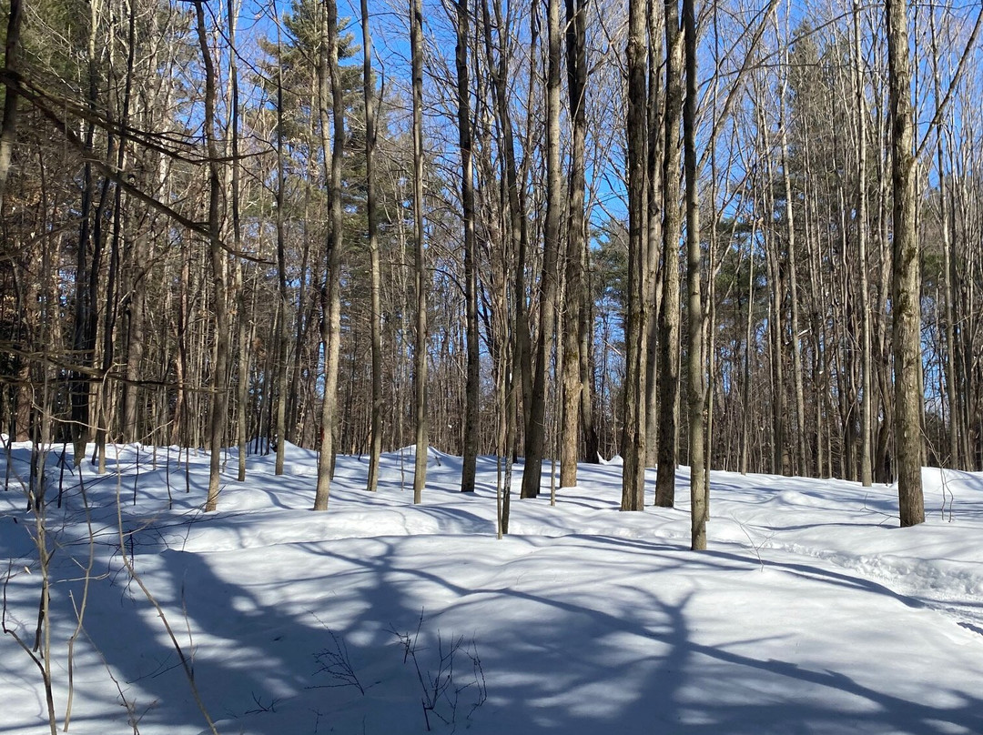 Catamount Family Center-Williston必去景点