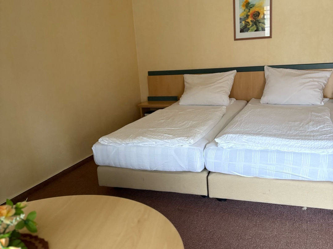 Landhotel und Restaurant Lindengarten主图