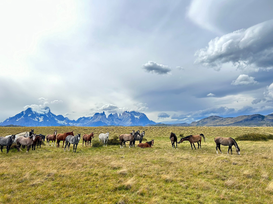 Cimarron Travel - Horse riding & more!景点图片
