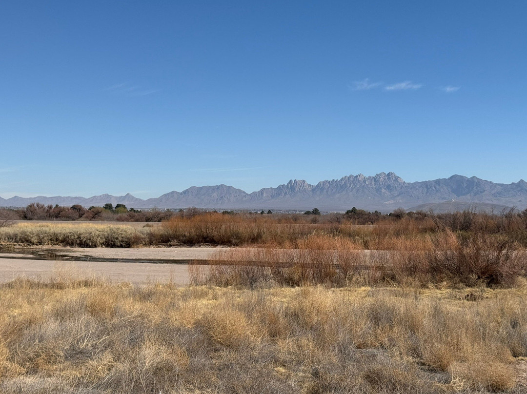 Mesilla Valley Bosque State Park-Mesilla必去景点