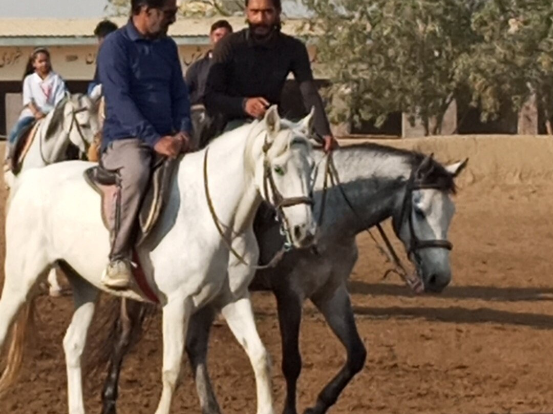 梦幻度假胜地，酒店及高尔夫球场主图