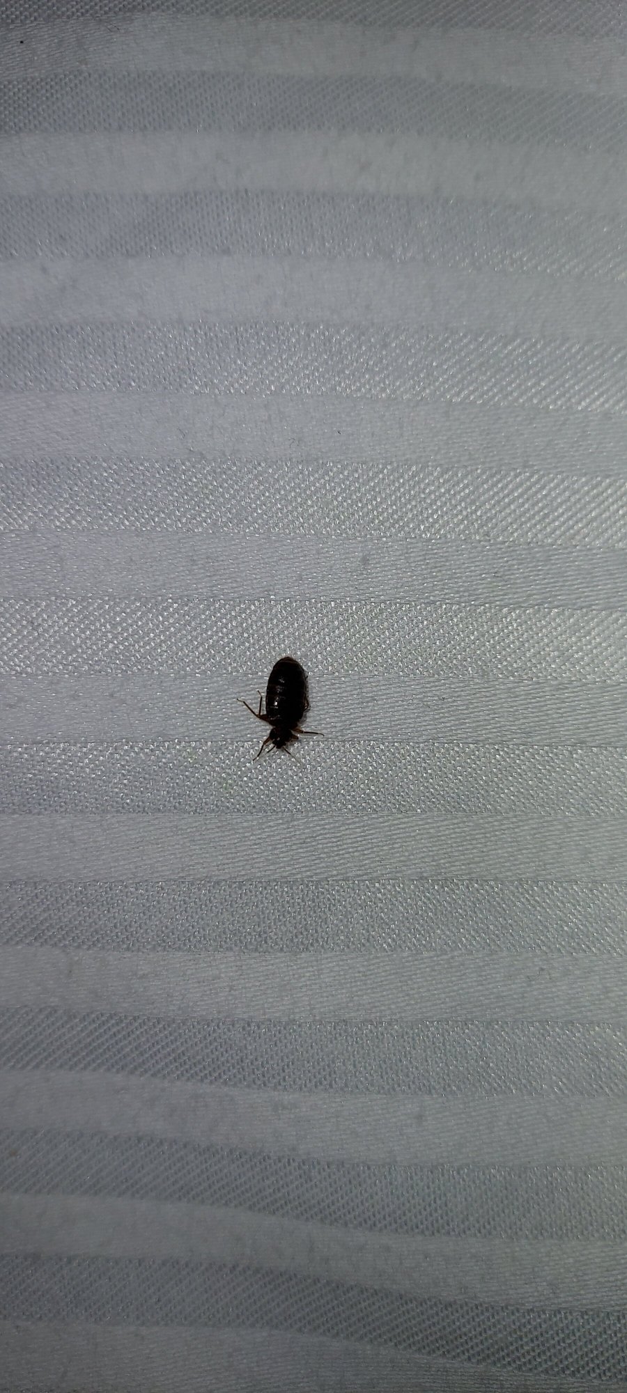 Fitz Tunica Casino & Hotel, Trademark Collection by Wyndham-官方