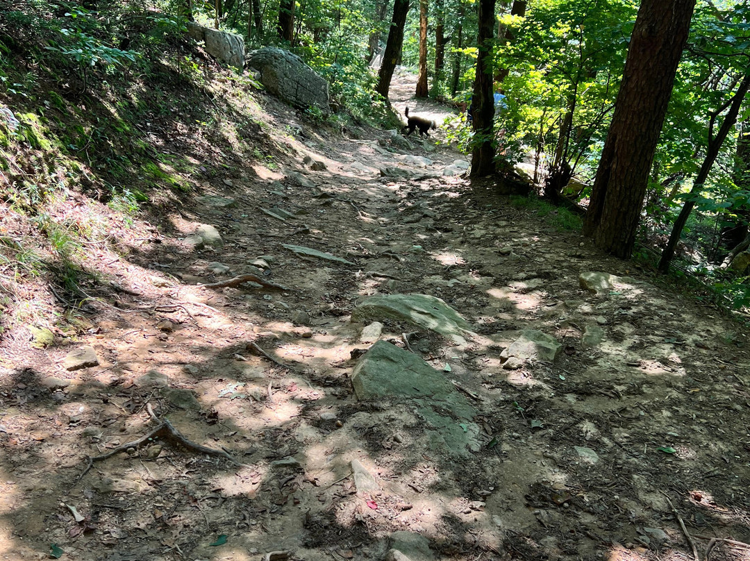 Fort Mountain State Park-Chatsworth必去景点