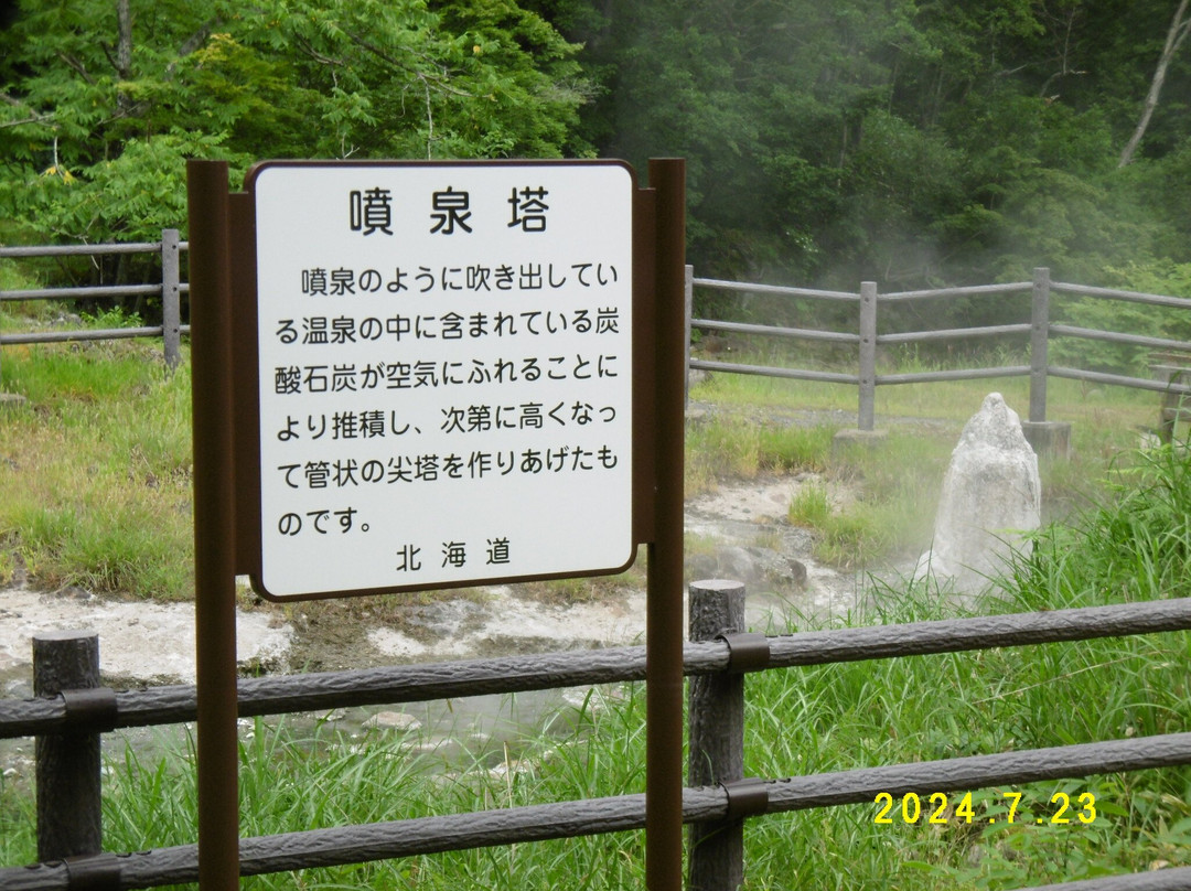 Higashi Taisetsu so主图
