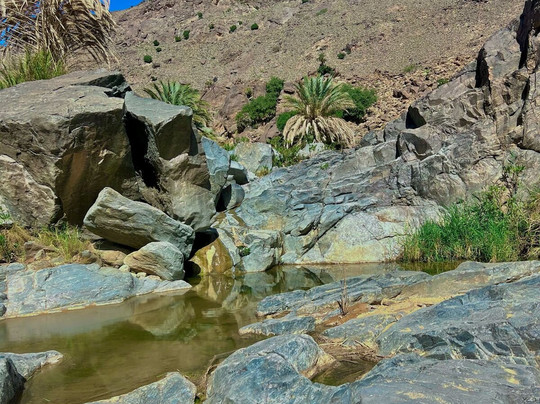 Hotel L'Arganier D'Ammelne主图