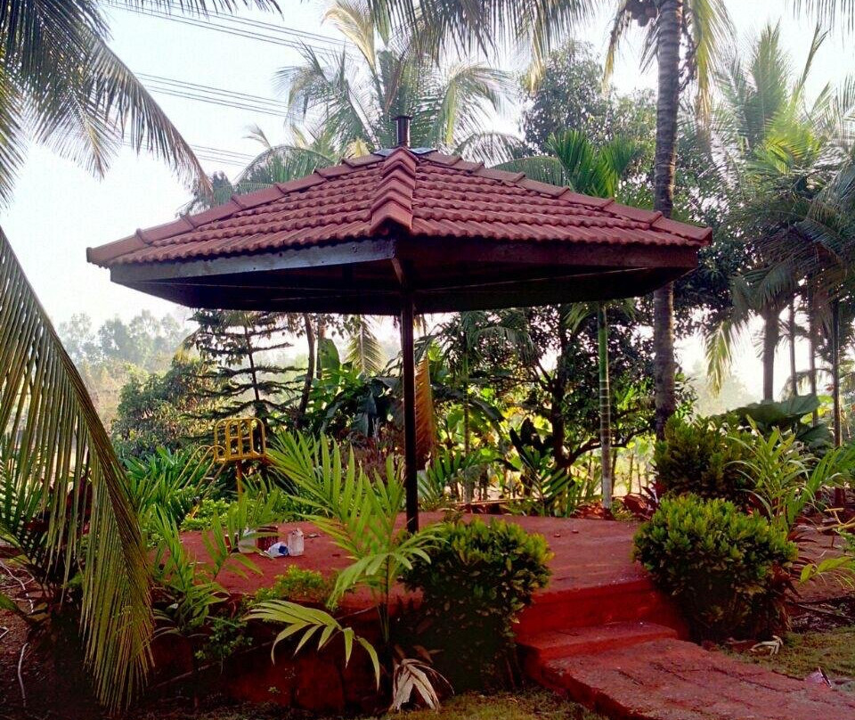 Majhya Mamacha Gaon主图