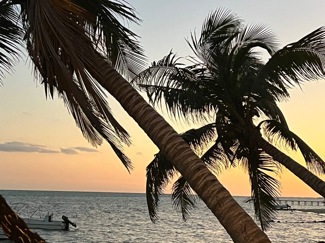 Casa Cenote Hotel主图