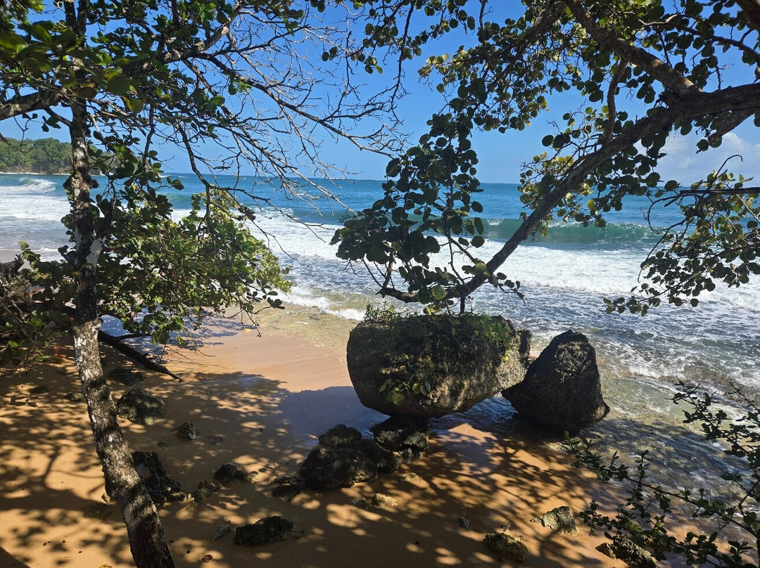 Playa Bluff景点图片