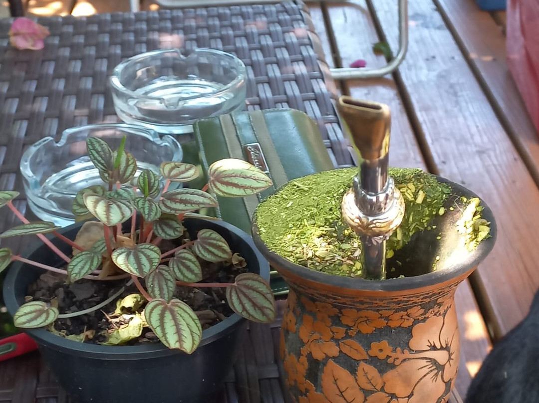 Pousada Sol da Terra主图