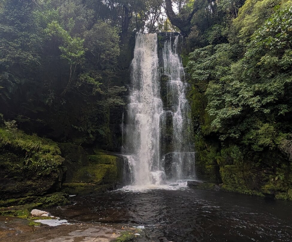 McLean Falls Walk景点图片
