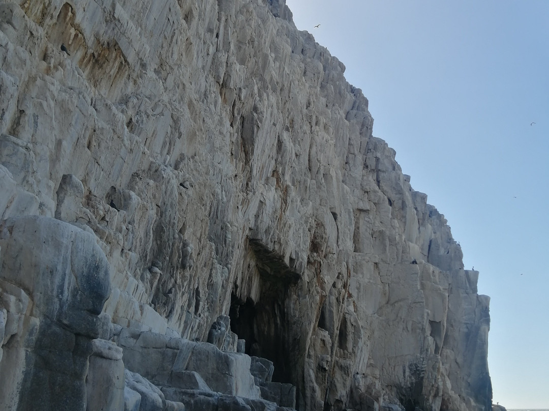 Ramal Talca - Constitucion - Train-Constitucion必去景点