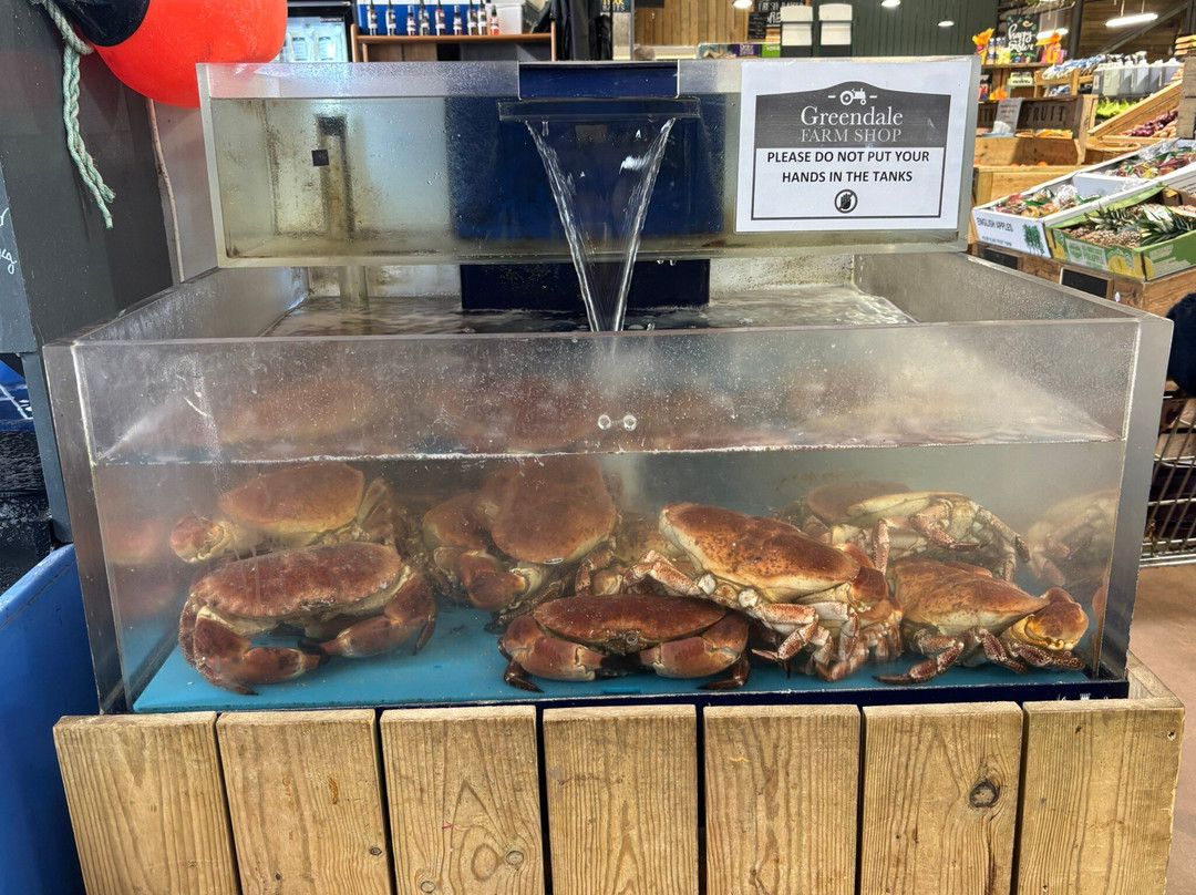 Greendale Farm Shop-Farringdon必去景点