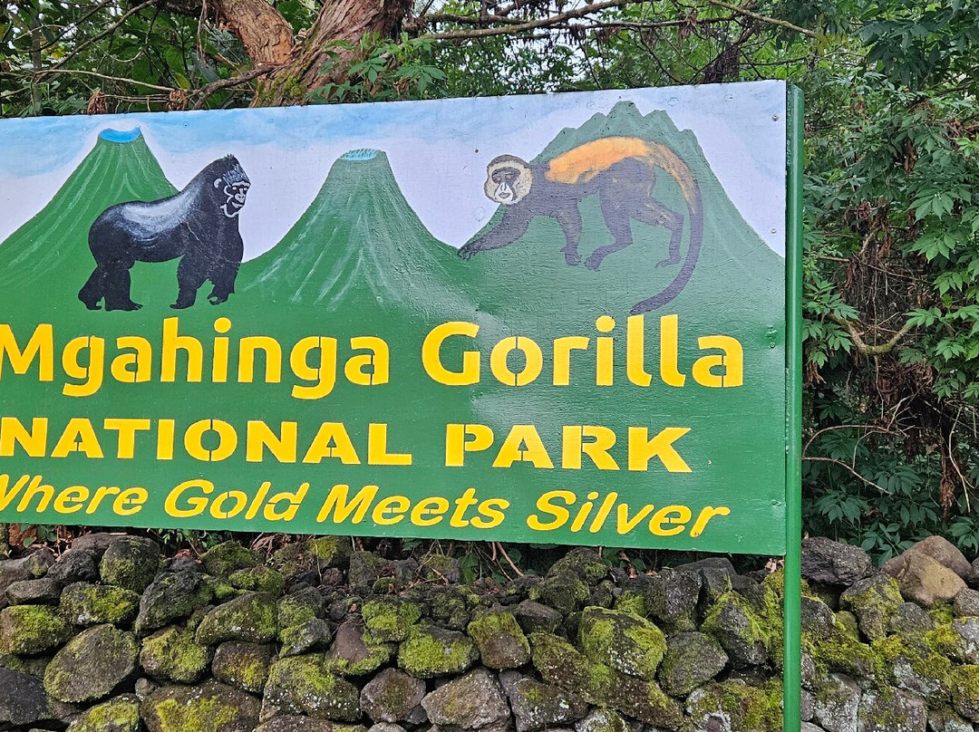 Mgahinga Gorilla National Park-Kisoro必去景点