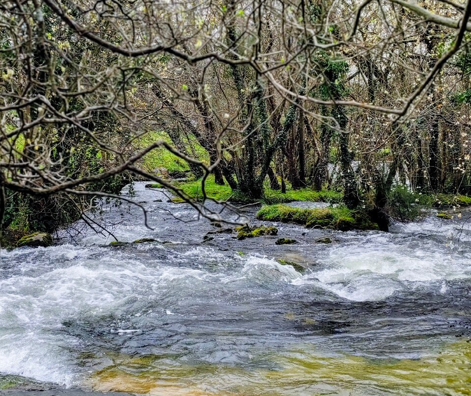 Nacimiento del Rio Gandara景点图片