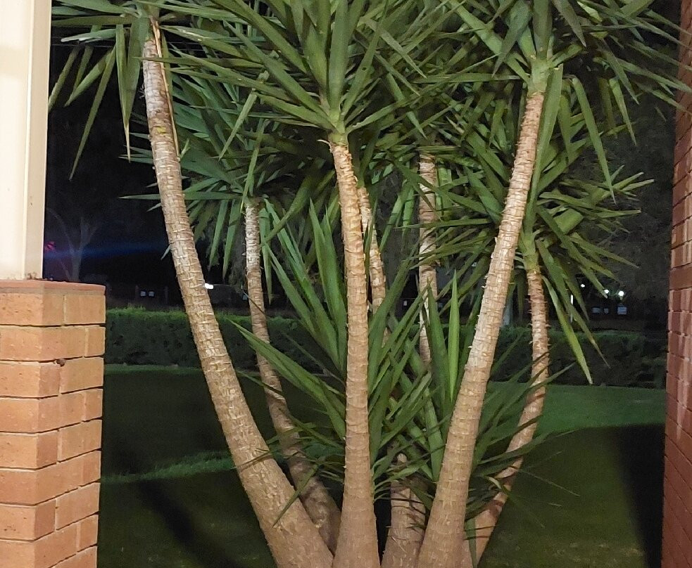 Comfort Inn & Suites King Avenue主图