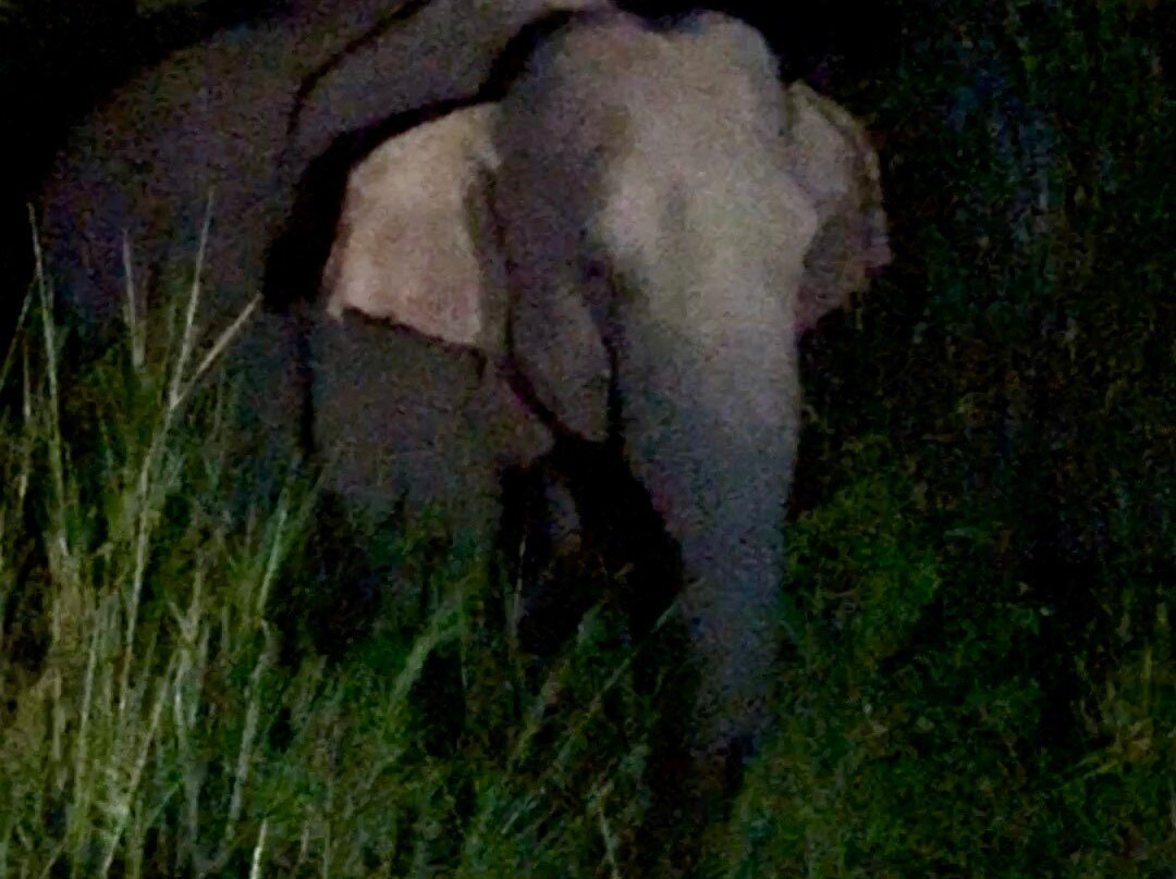 Sudath Safari and Tours Sri Lanka-锡吉里亚必去景点