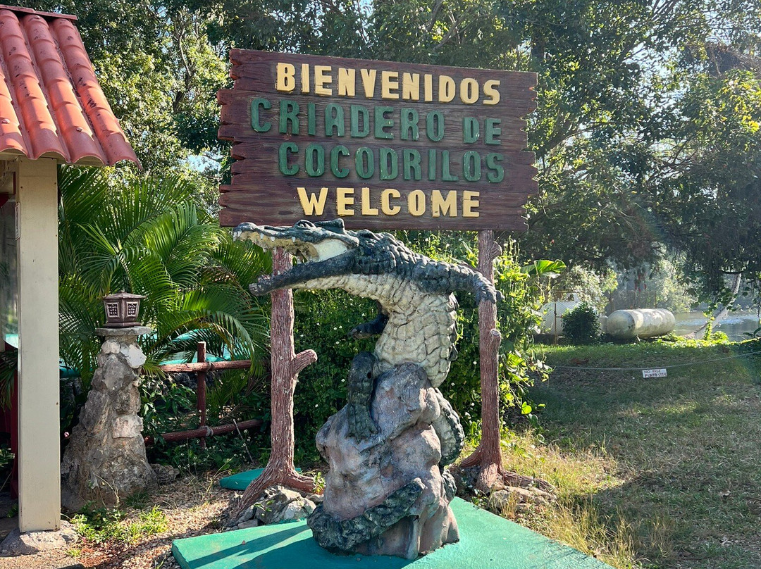 Criadero De Cocodrilos-Playa Larga必去景点