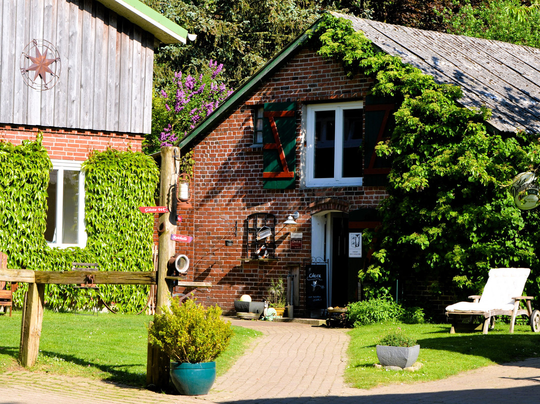 Marnerdeich酒店住宿-Landhotel Rehedyk