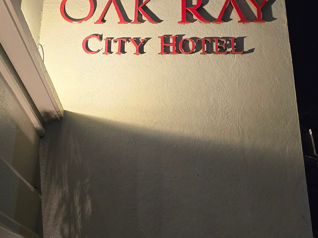 Oak Ray City Hotel主图