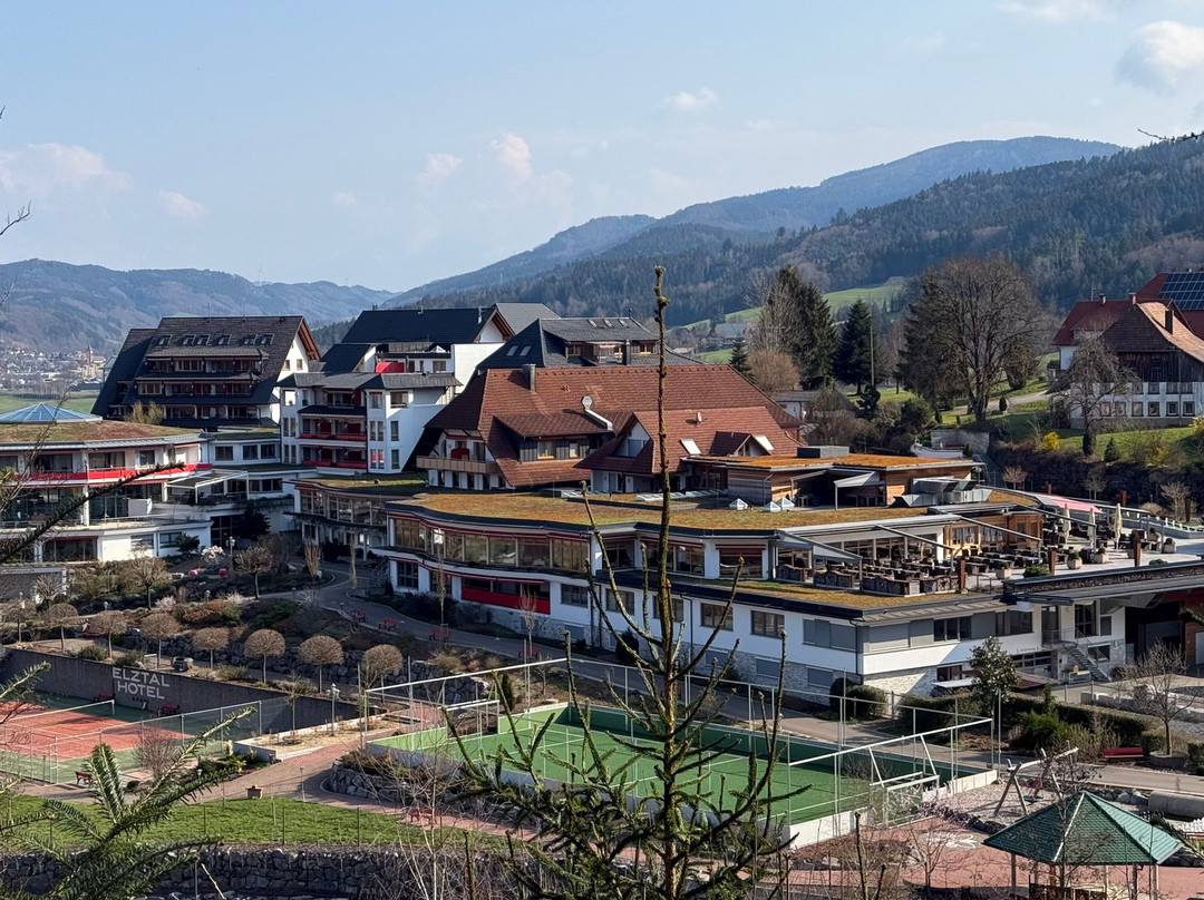 Elztalhotel主图